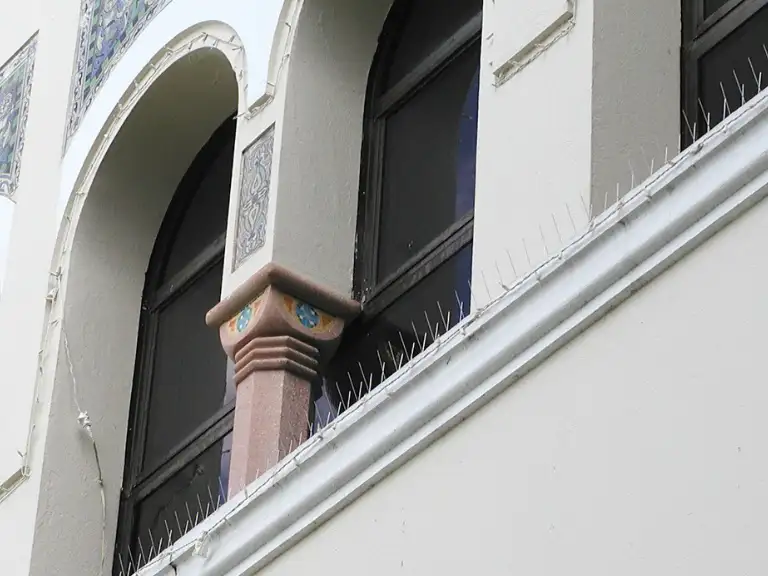 Bird-Flite spikes on an architectural ledge