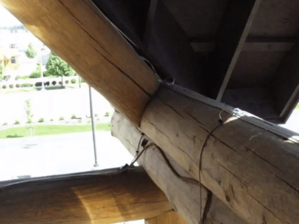 Bird-Shock® track following the contours of a building facade