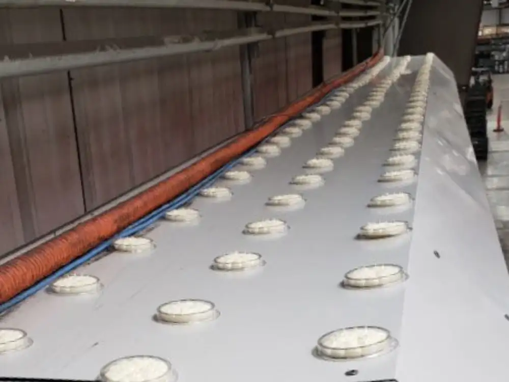 Optical Gel™ bird control product