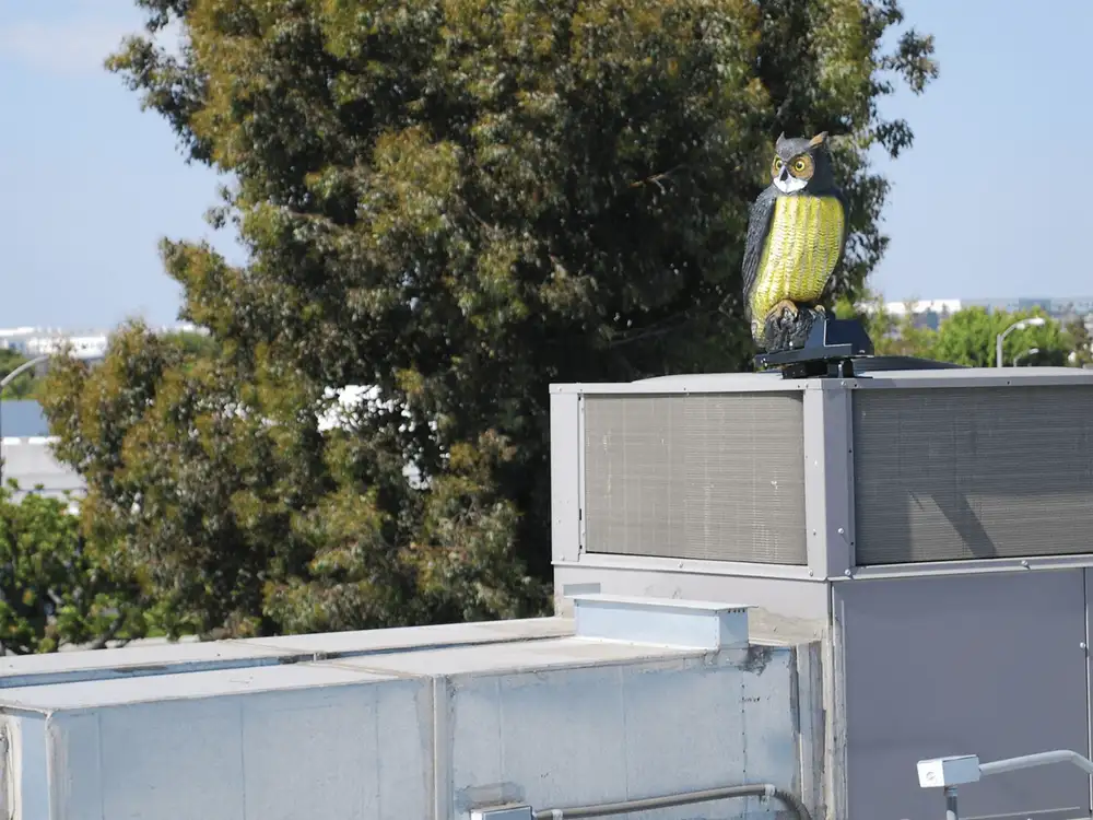 Visual bird deterrents including decoy predators and reflective devices
