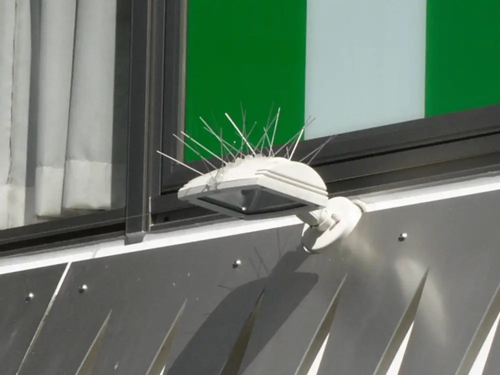 Bird-Flite® spikes on a parking structure beam
