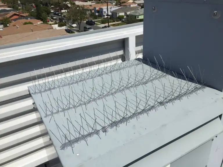 Bird-Flite spikes on outdoor equipment framing
