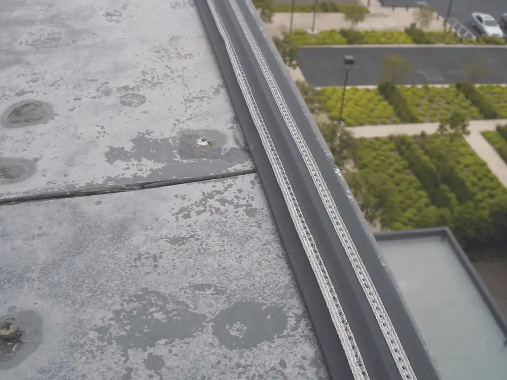 Bird-Shock® electric track running along a building ledge