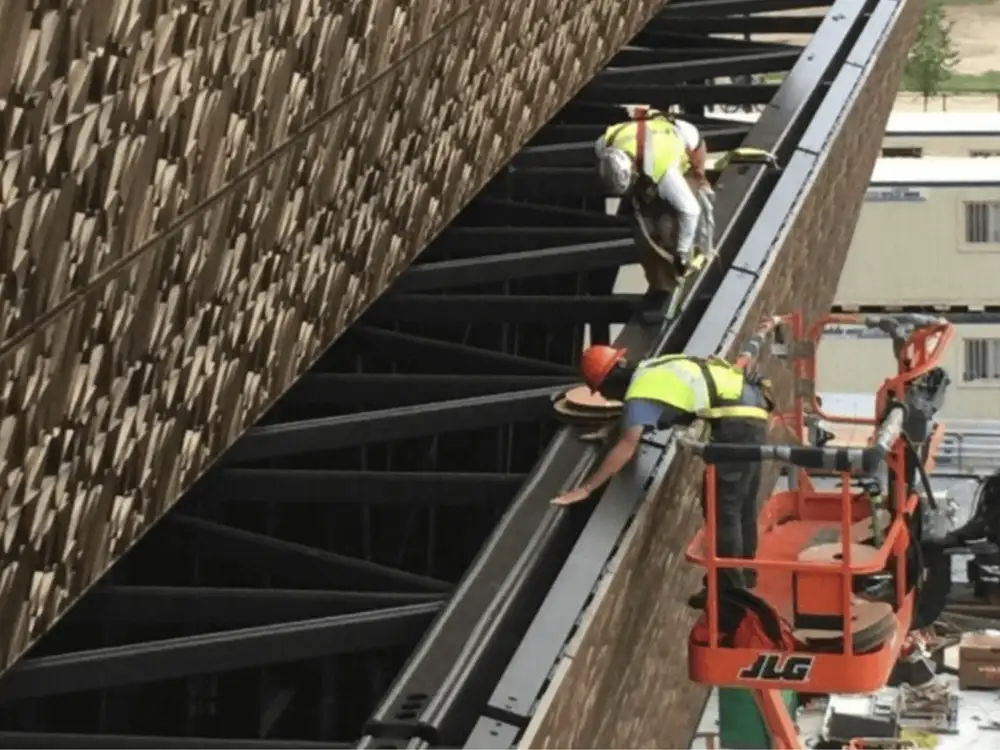 Bird-Shock track following an architectural cornice