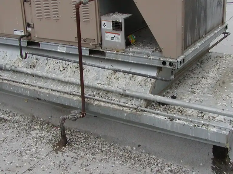 Rooftop HVAC air handling units shielded from pest birds