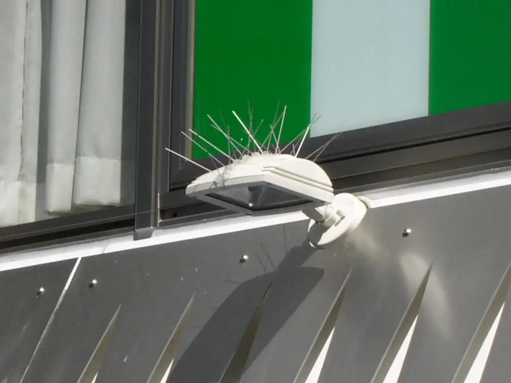 Bird-Flite® Bird Spikes bird control product