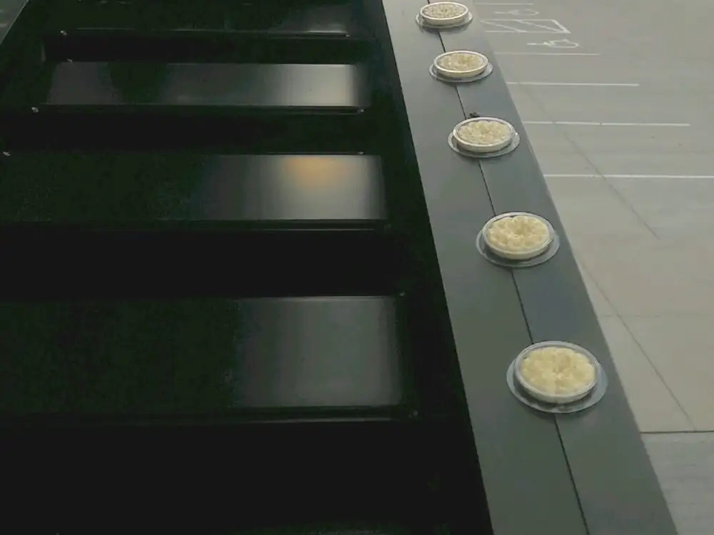 Optical Gel™ bird control product