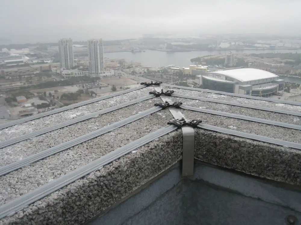 Bird-Shock track along a parapet edge