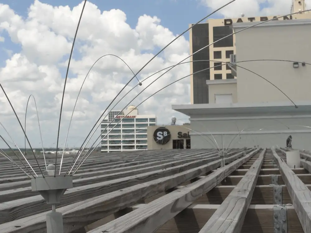 Daddi Long Legs™ spider-arm bird deterrent on a flat roof