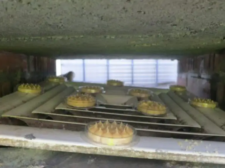 Optical Gel™ bird control product