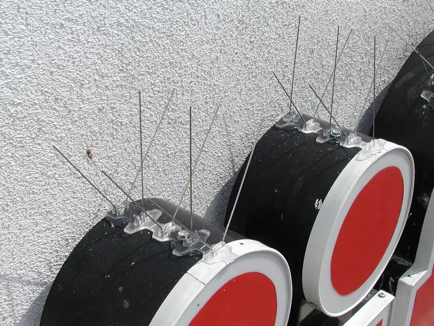 Bird-Flite stainless steel bird spikes installed on a ledge