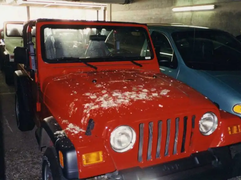 Car in a parking lot soiled by pest bird droppings