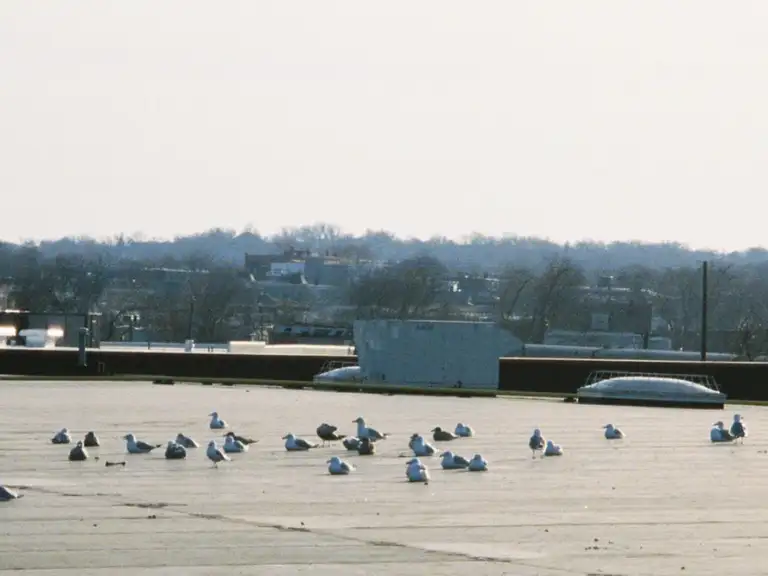 Large flat rooftop of a medical facility