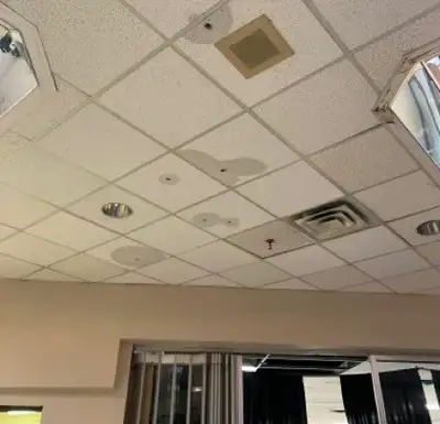 Water stains spreading across a ceiling tile